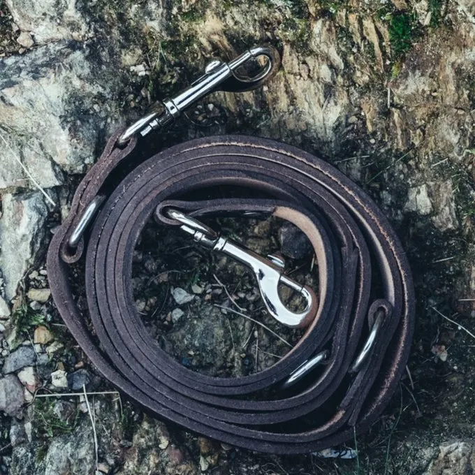 Leonardo Carbone Keltische Hundeleine, Braun 1 Leonardo Carbone Keltische Hundeleine, Braun