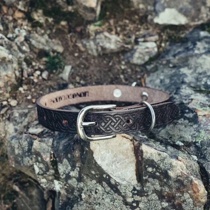 Leonardo Carbone Keltischer Hundekragen, Braun 2 Leonardo Carbone Keltischer Hundekragen, Braun – Bild 2