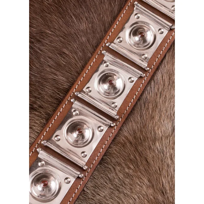 Deepeeka Roman Balteus Rheingönheim Mit Emaille 3 Deepeeka Roman Balteus Rheingönheim Mit Emaille – Bild 3