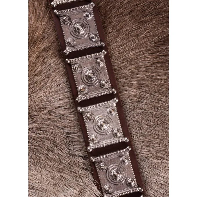 Deepeeka Roman Cingulum Mainz 3 Deepeeka Roman Cingulum Mainz – Bild 3